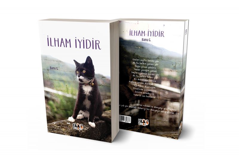İlham İyidir