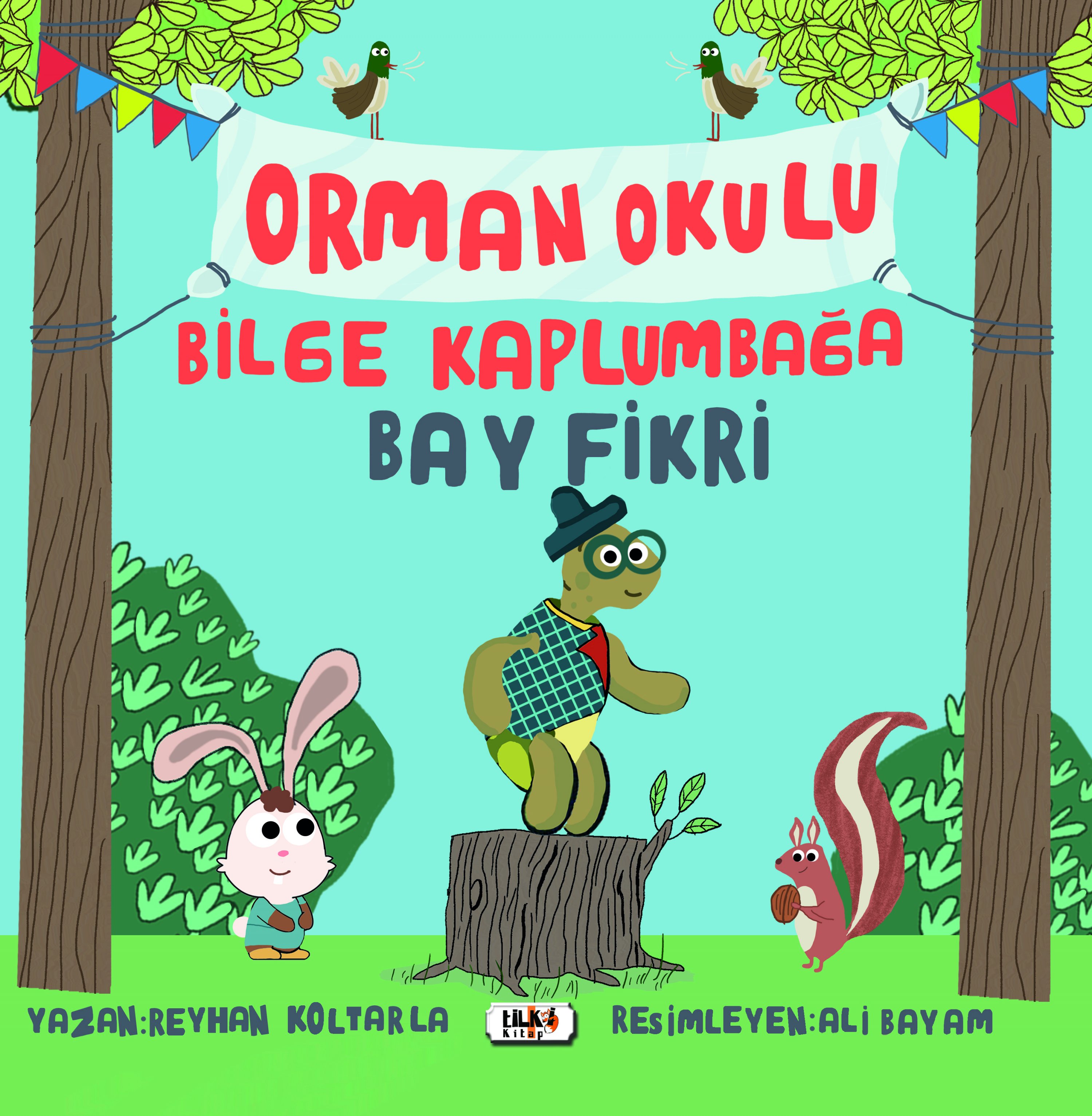 Bilge Kaplumbağa Fikri