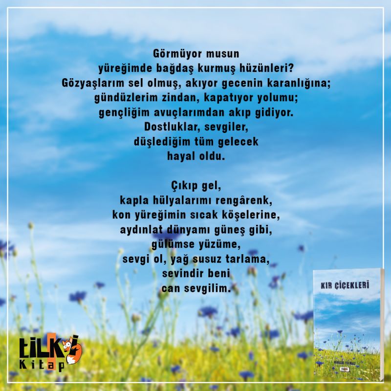Kır Çiçekleri
