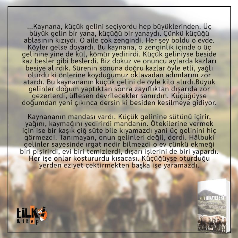 Köy Hikayeleri