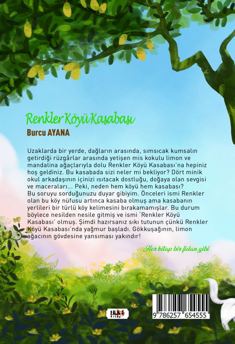Renkler Köyü Kasabası