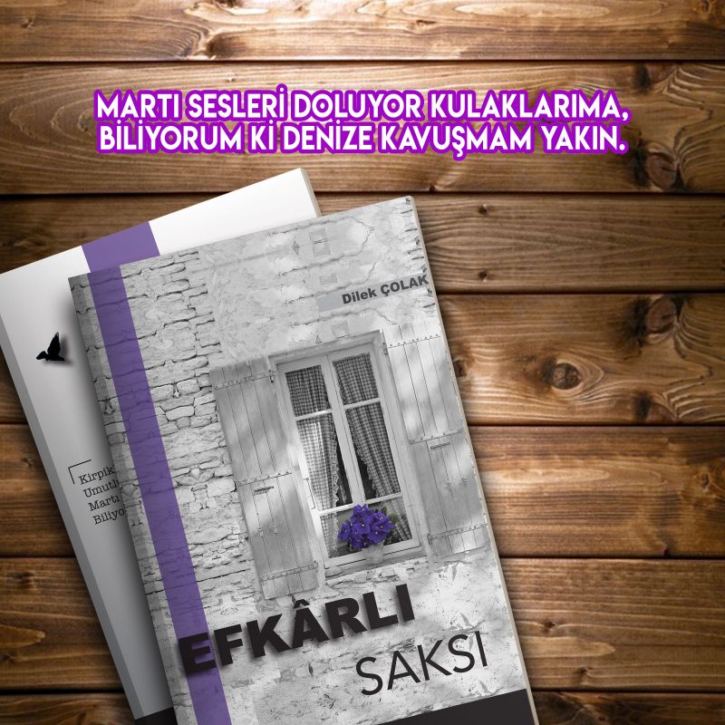 Efkarlı Saksı