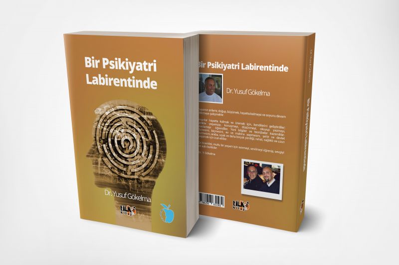 Bir Psikiyatri Labirentinde