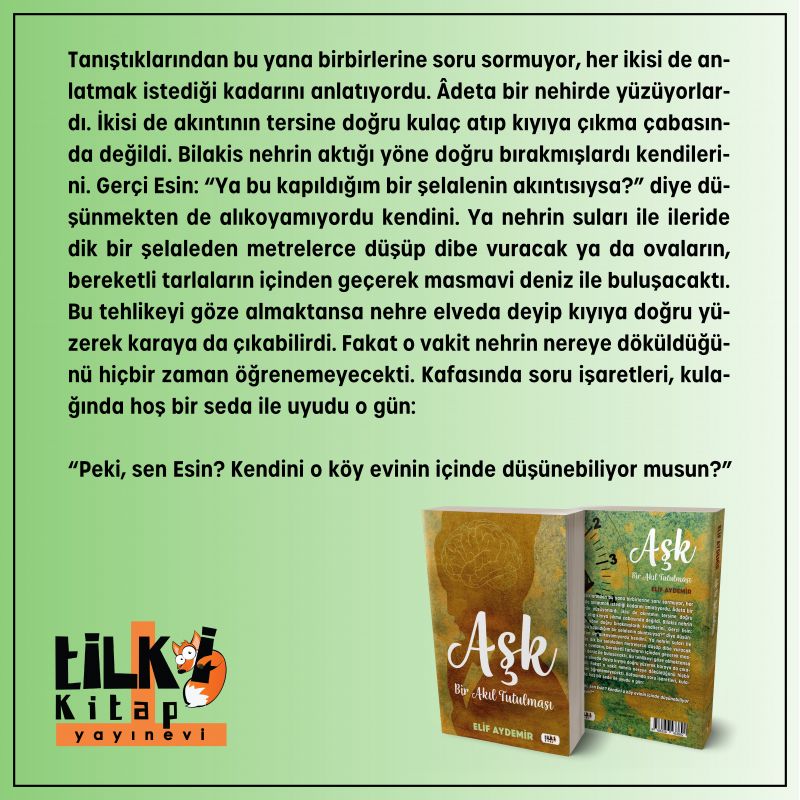 Aşk: Bir Akıl Tutulması