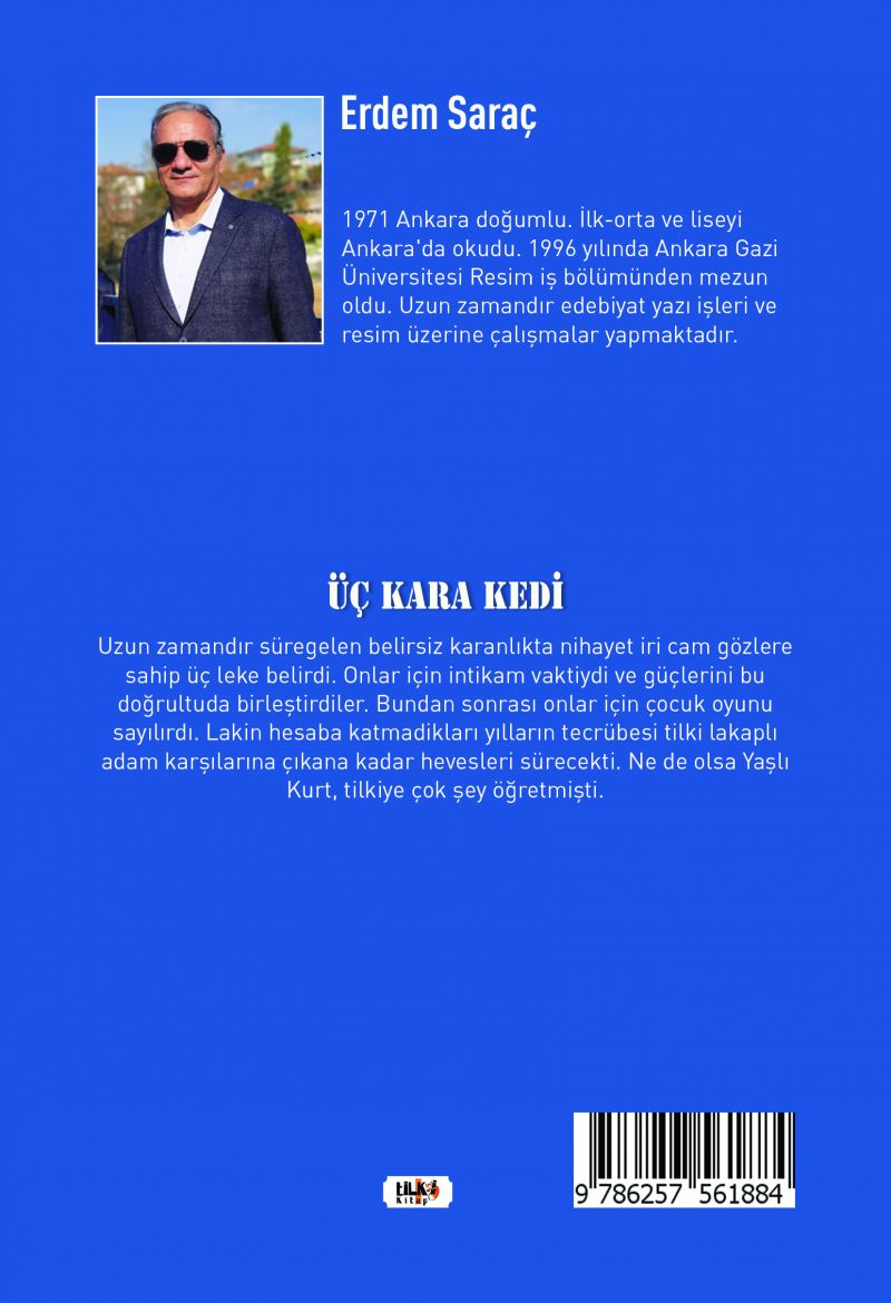 Üç Kara Kedi