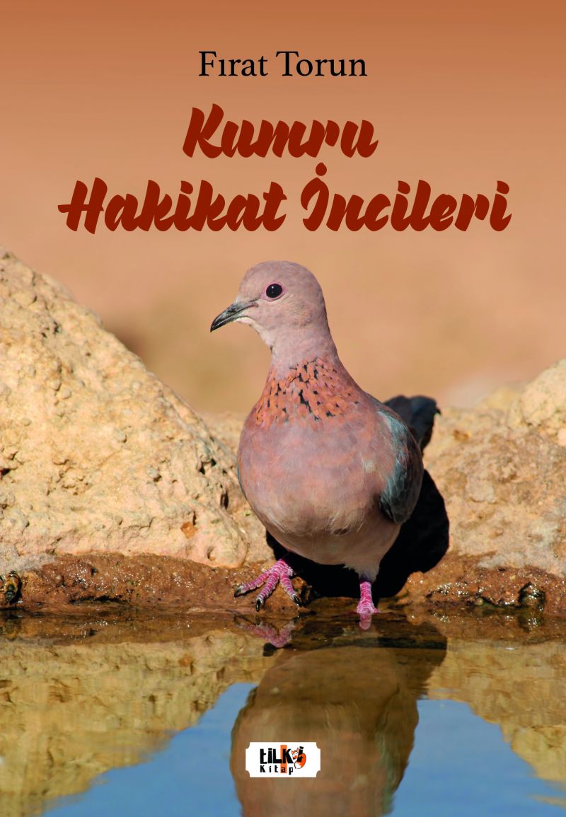 Kumru Hakikat İncileri