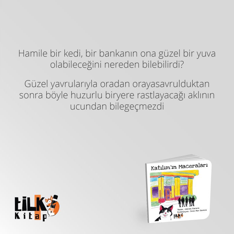 Katılımın Maceraları