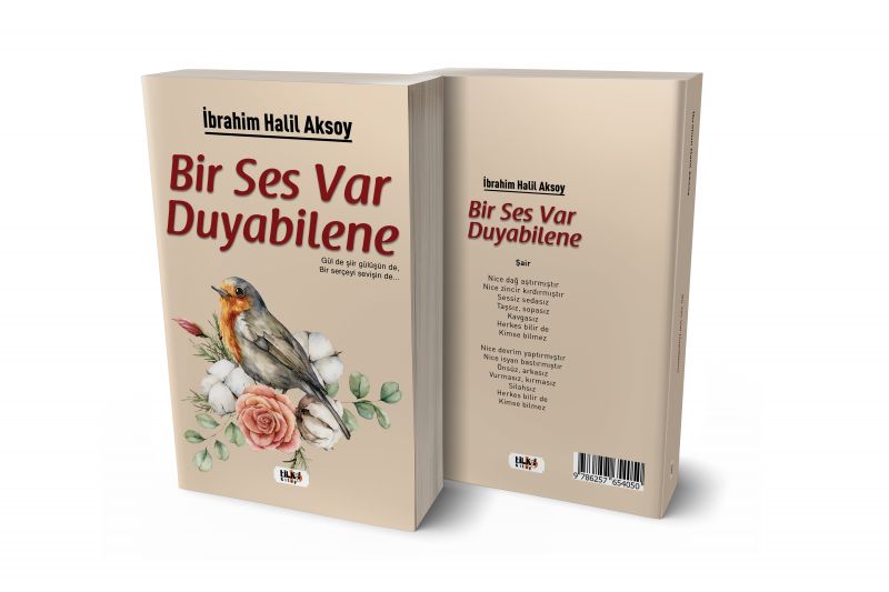 Bir Ses Var Duyabilene