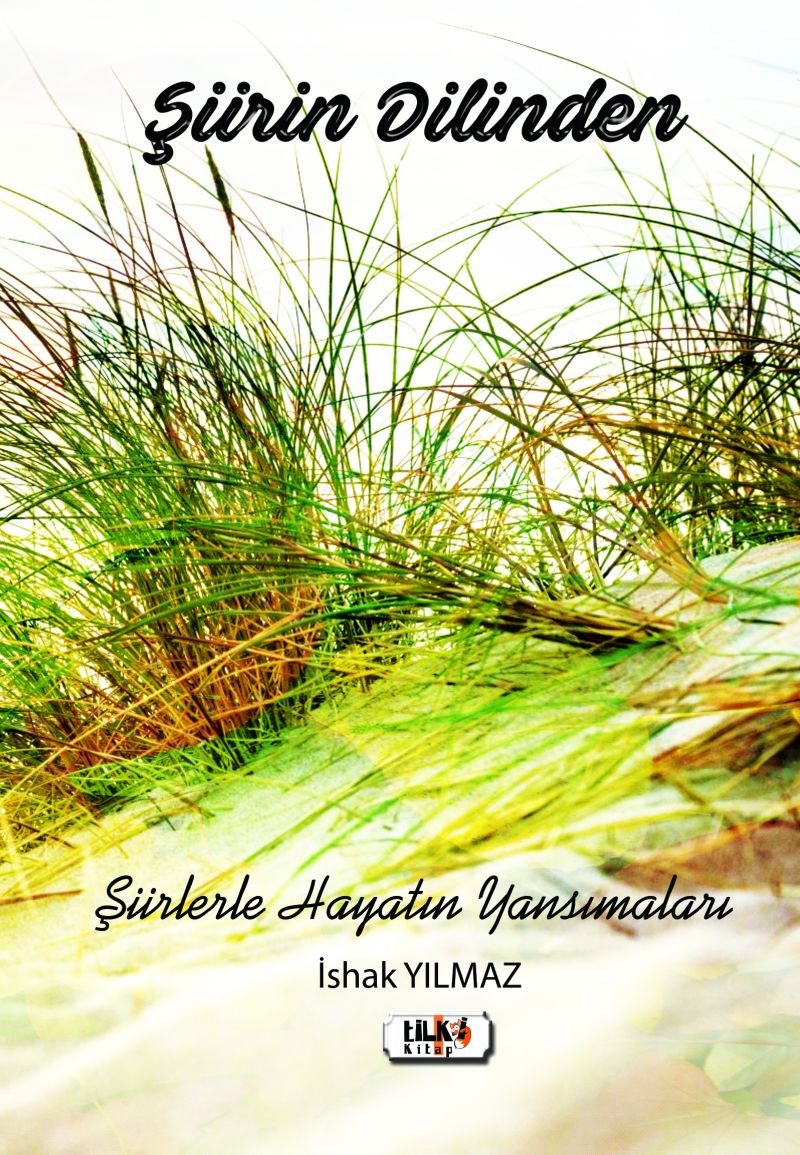Şiirin Dilinden