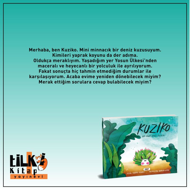 Kuziko Bir Minik Deniz Kuzusu