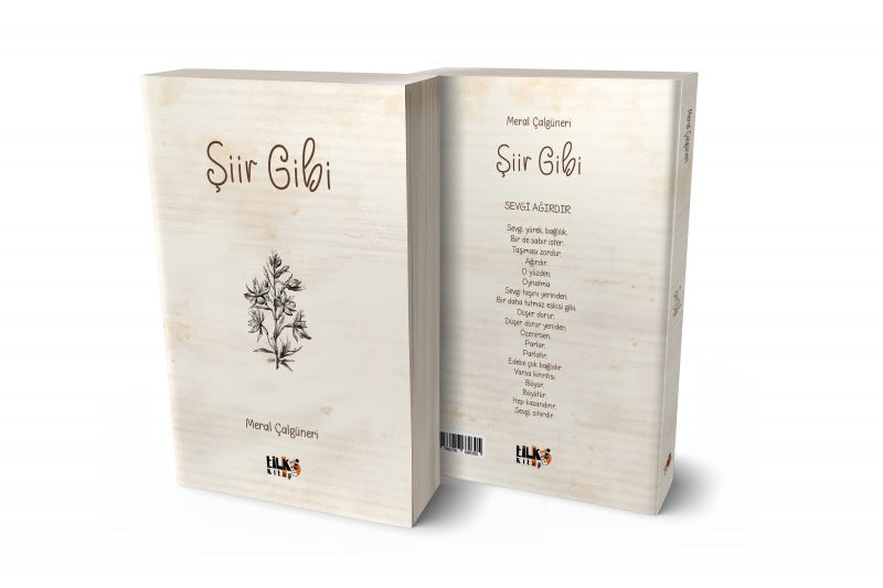 Şiir Gibi
