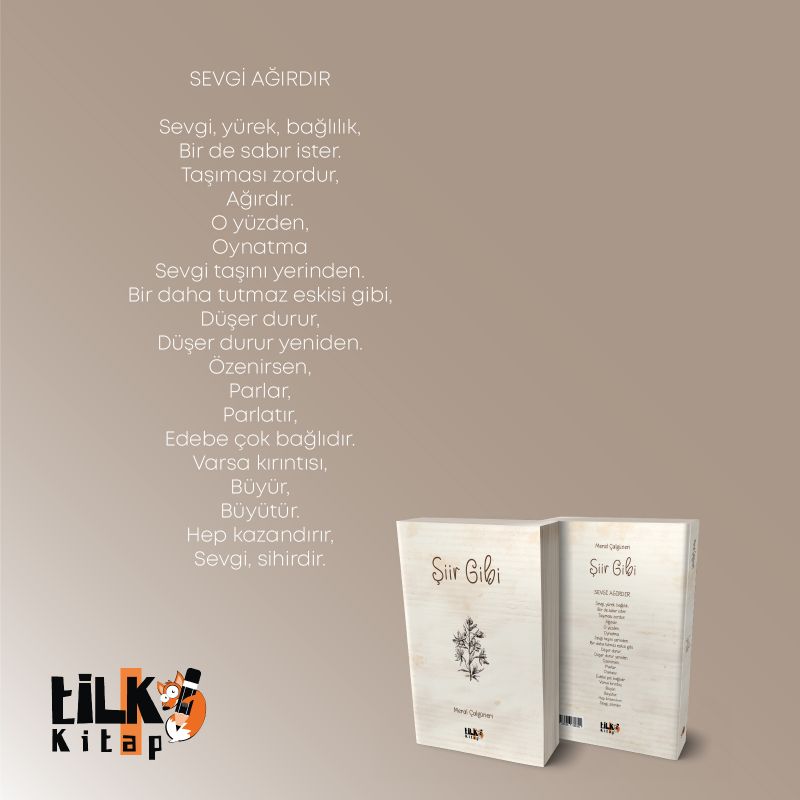 Şiir Gibi