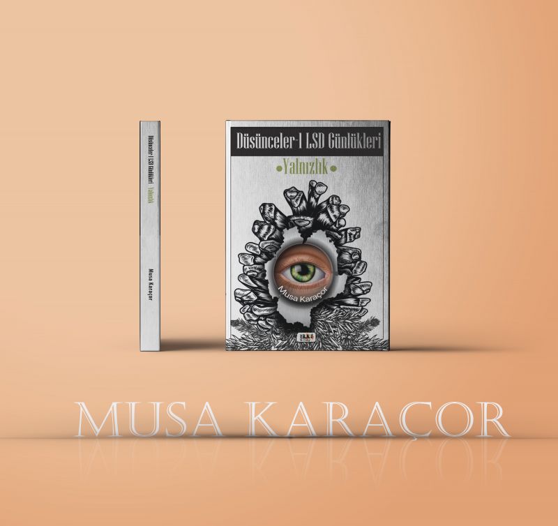 Düşünceler-I Lsd Günlükleri (Yalnızlık)