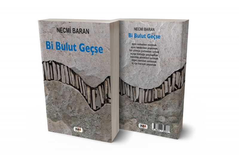 Bi Bulut Geçse