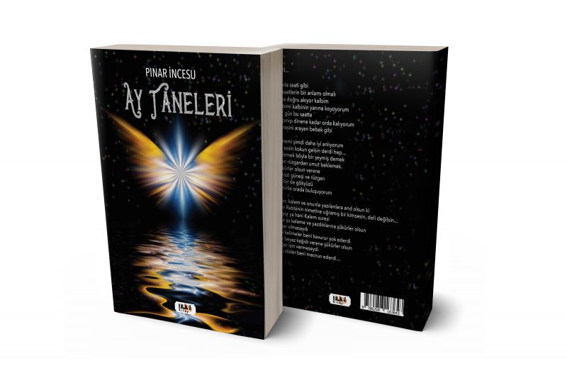 Ay Taneleri