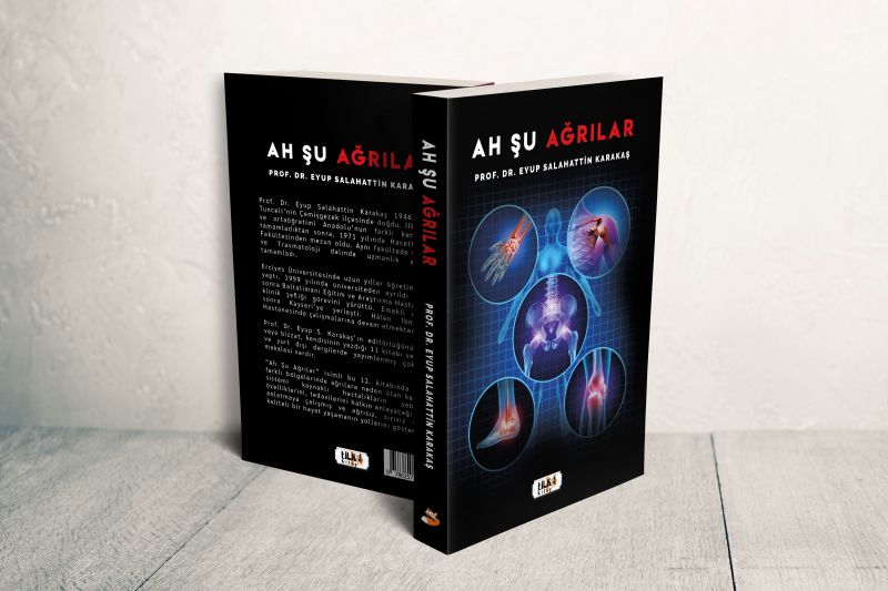 Ah Şu Ağrılar