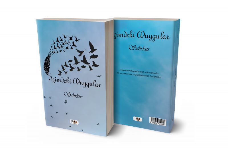 İçimdeki Duygular
