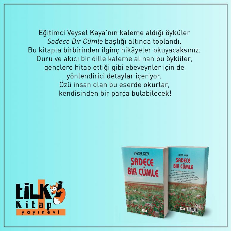 Sadece Bir Cümle
