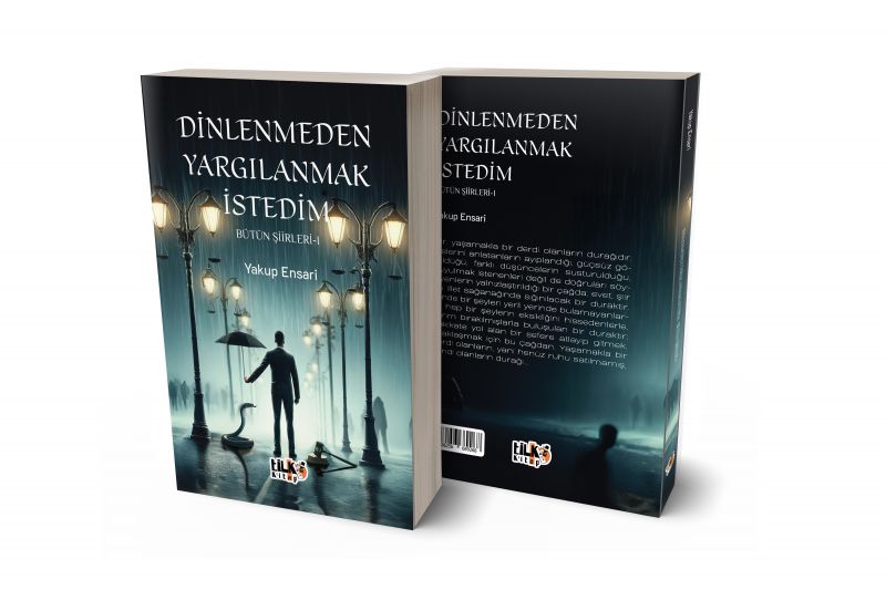 Dinlenmeden Yargılanmak İstedim - Bütün Şiirleri 1