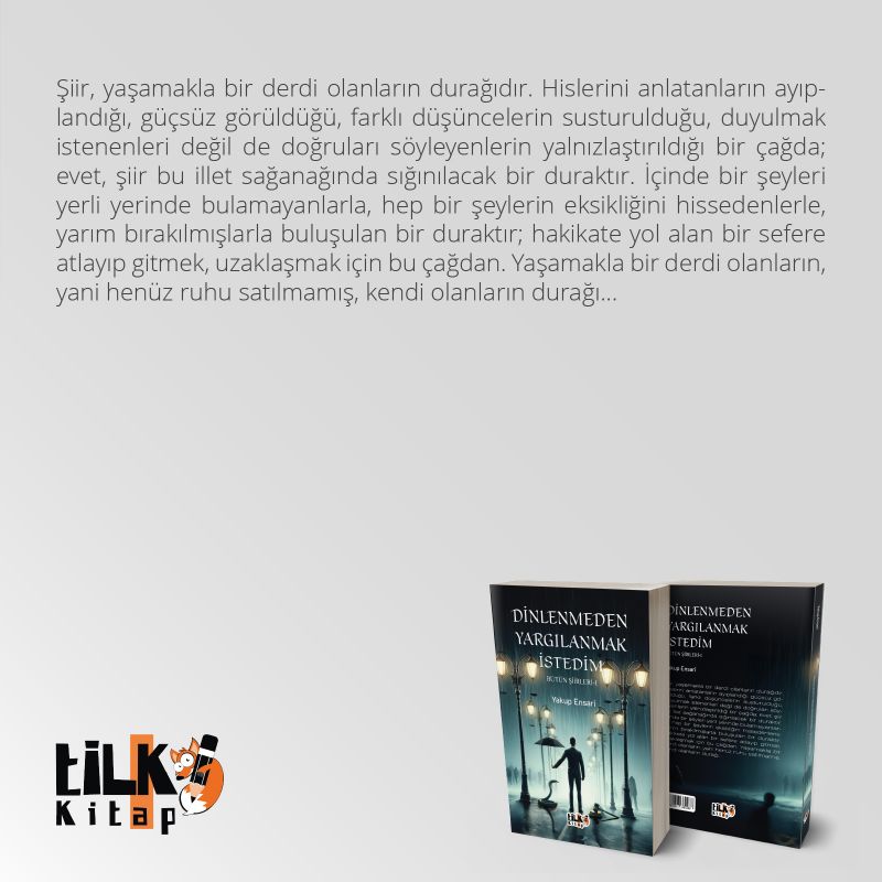 Dinlenmeden Yargılanmak İstedim - Bütün Şiirleri 1